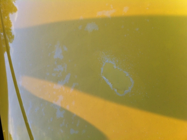 Is this just clear coat peeling?