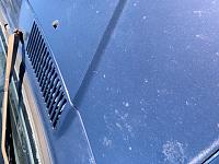 Restore single stage paint on a 1991 Volvo 240 ?  Question for Mike Phillips-image1-jpeg