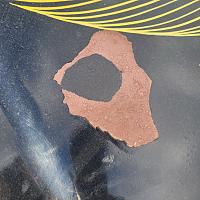 Paint correction on 197? Pontiac Firebird - Protecting Hood Artwork (Paint flaking)-20230419_172945-jpg