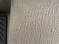 Carpet pile restoration-img_3661-jpg