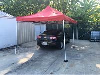 New Canopy-imageuploadedbyagonline1465330531-087337-jpg