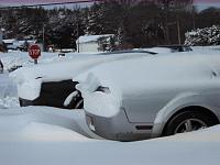 is this the best you can do for a biege car?-snowstorm-2009-007-jpg