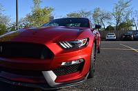 2017 Ruby Red GT350 Paint Decontamination, Paint Correction, Ceramic Seal-dsc_2979-jpeg