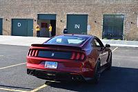 2017 Ruby Red GT350 Paint Decontamination, Paint Correction, Ceramic Seal-dsc_3002-jpeg