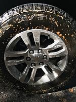Can't get rid of Tire Browning-tire-bleed-jpg