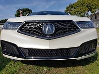 MDX honeycomb grille protection suggestions-fontcar-jpg