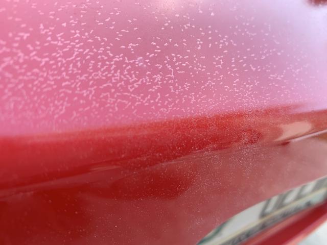 Is this just clear coat peeling?