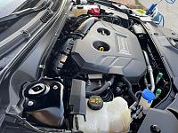 Engine bay cleaner &amp; engine bay detailer-engine-clean-left4-jpg