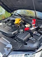 Engine bay cleaner &amp; engine bay detailer-e-dewalt-jpg