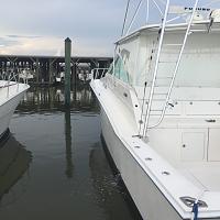 Boats for next couple weeks-imageuploadedbyagonline1472748525-258951-jpg