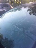 White Streaks/Spots on Windshield-21032463_10104545658485975_7197547612901984632_n-1-jpg