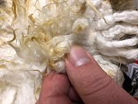 My New Merino Wool Sheepskin DUO Wash Mitt a matted mess-m1-jpg