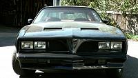 1978 Firebird - Wash, Clay, Paint Cleanse, Buff, Polish, Paint Sealant-image8-jpg