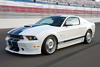 You all are going to think I'm NUTS!!!!!-leadshelbygt3502011-jpg