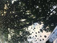 Review: McKees 37 SiO2 Soap and Spray on Filthy Black Car-75103dbc-abbf-4114-9ea3-da4f3d868c19-jpg
