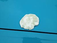 1972 AMC Hornet single stage paint detail-imageuploadedbyagonline1372815797-946677-jpg