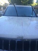 Just some iron-x on a white jeep-imageuploadedbyagonline1444014267-228021-jpg
