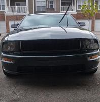 2008 Mustang Bullitt-mustang-6-jpg