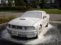 Detailed 07 MUSTANG GT CONVERTIBLE-dsc03532-jpg