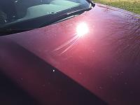 First time paint correction-img_1636-2-jpg