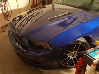 '13 Mustang GT corrected &amp; coated-3-jpg