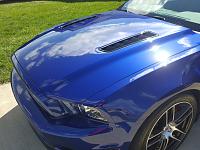 '13 Mustang GT corrected &amp; coated-6-jpg
