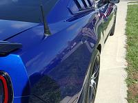 '13 Mustang GT corrected &amp; coated-8-jpg