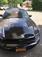 2011 Ford Mustang Black (UA)-2 Step Paint Correction Progress (Malco Epic Paint Correction)-img_1883-jpg