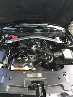 2011 Ford Mustang Black (UA)-2 Step Paint Correction Progress (Malco Epic Paint Correction)-img_1894-jpg