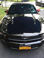 2011 Ford Mustang Black (UA)-2 Step Paint Correction Progress (Malco Epic Paint Correction)-img_1897-jpg