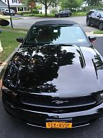 2011 Ford Mustang Black (UA)-2 Step Paint Correction Progress (Malco Epic Paint Correction)-img_1903-jpg
