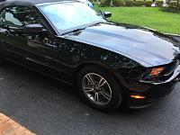 2011 Ford Mustang Black (UA)-2 Step Paint Correction Progress (Malco Epic Paint Correction)-img_1900-jpg