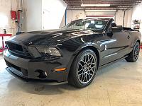 2013 Mustang Shelby-69326468_1197653900431511_2644403504357048320_o-jpg