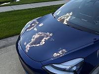 2019 Tesla Model 3 - Deep Blue Metallic-aimg_20200615_163954-jpg