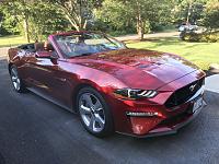 2019 Mustang GT hand polished-m1-jpg