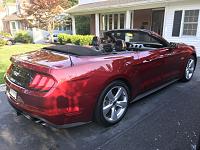 2019 Mustang GT hand polished-m2-jpg