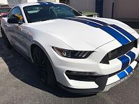 2017 Shelby GT350 and the Dr Beasley's NSP Z1-img_0430-jpg