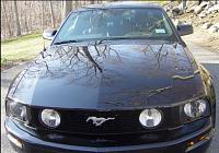 Black 2005 Mustang-detail-hood-jpg