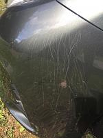 Dog Scratches on a new Sienna-unnamed-jpg