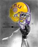 LSUFAN's Avatar