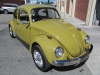 beetle15.jpg