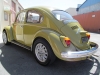 beetle16.jpg