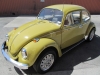 beetle17.jpg