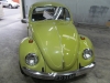 beetle2.jpg