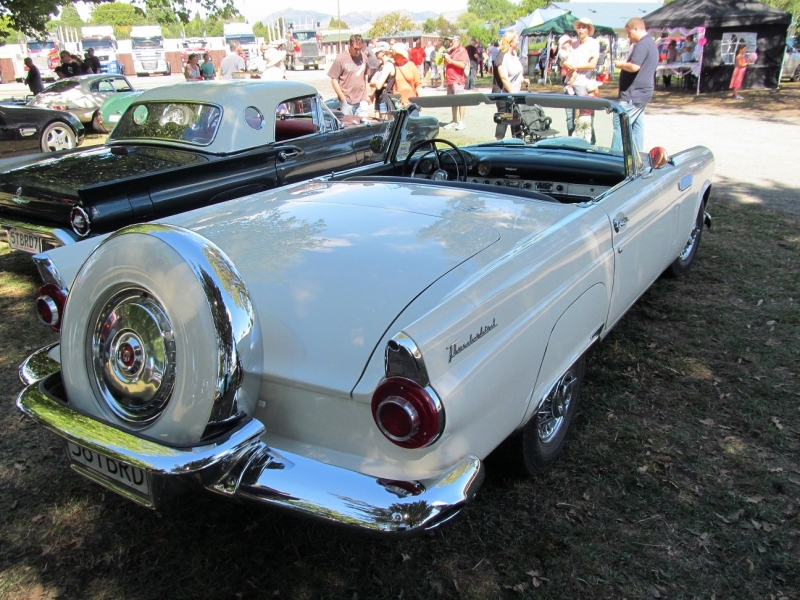 Hospice_Car_Show_061a